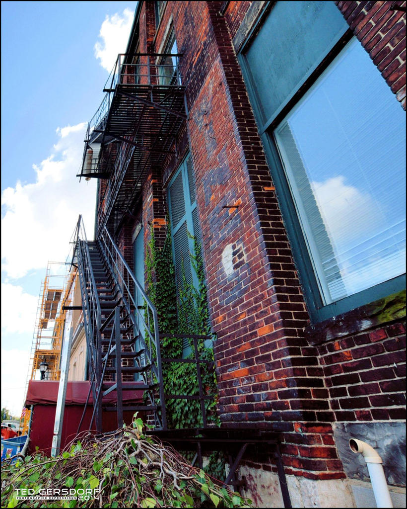 DSC_0007_00005_00005.jpg