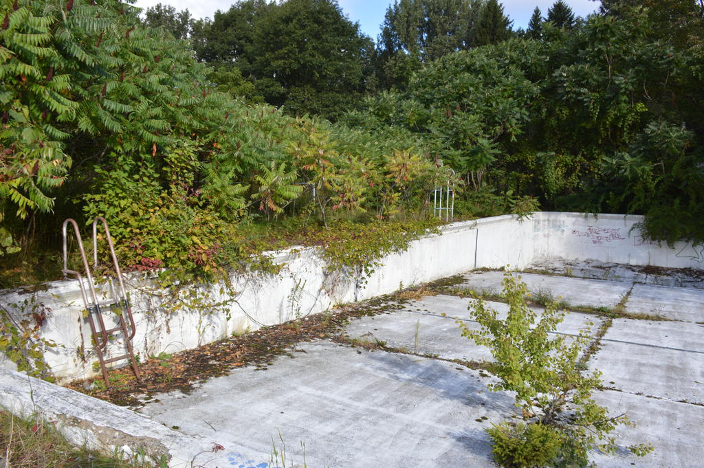 DSC_0008.jpg