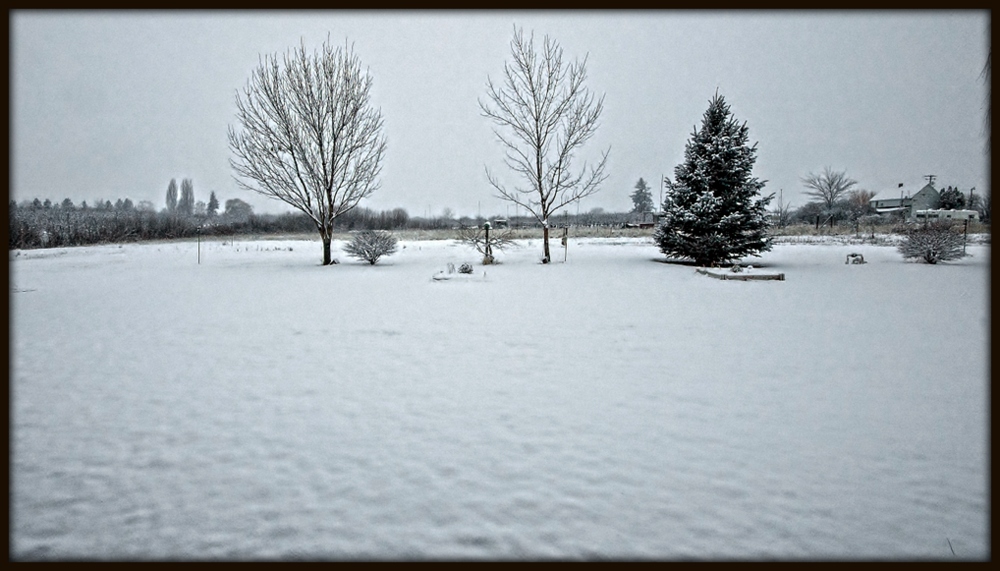 DSC_0009-Edit-001.jpg