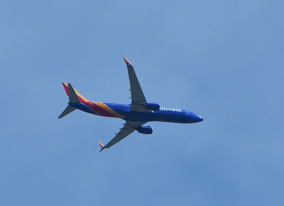 DSC_0010.JPG
