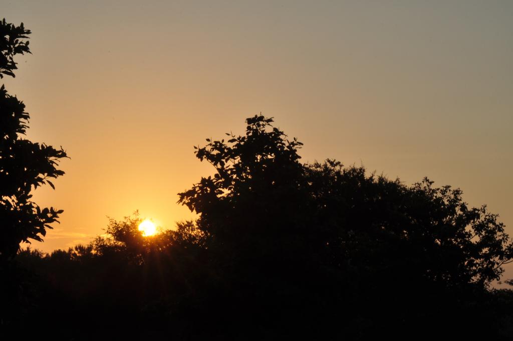DSC_0010.jpg