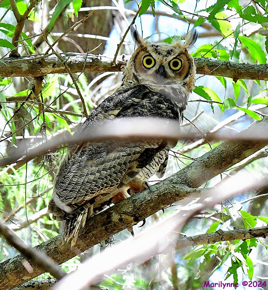 DSC_0010_001.JPG