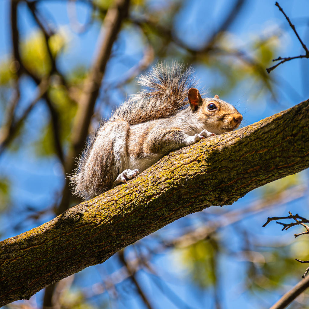 DSC_0011-1.jpg