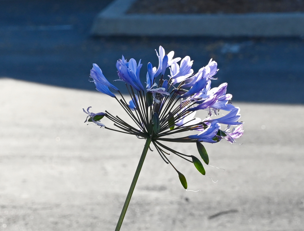DSC_0014.jpg