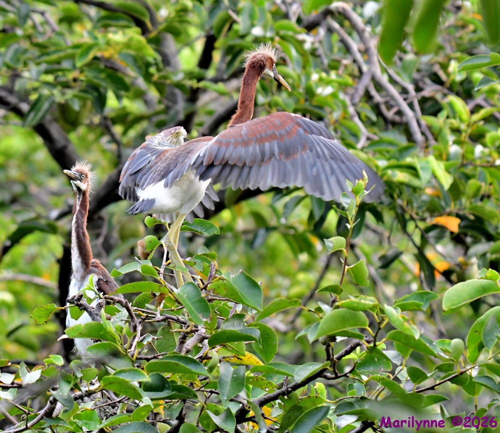 DSC_0014_001.JPG