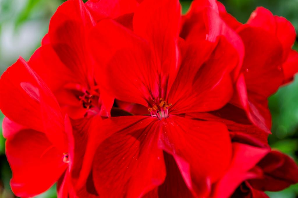 DSC_0014_DxO.jpg