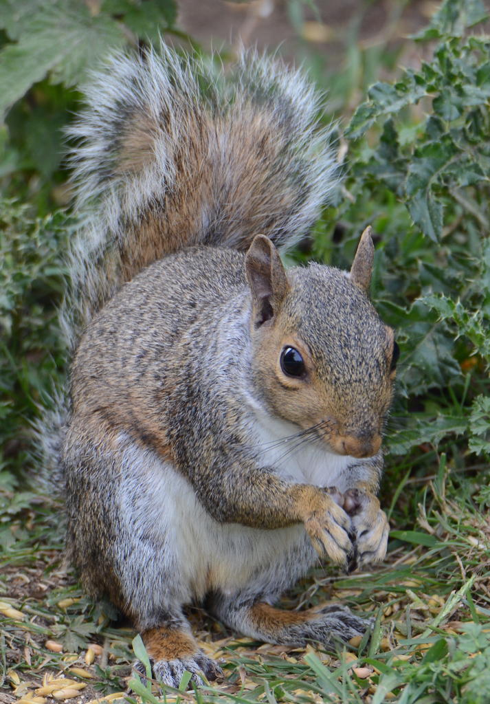 DSC_0015.jpg