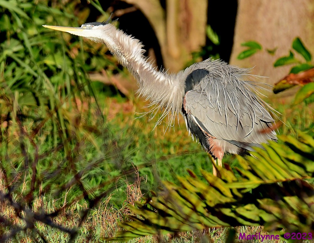 DSC_0015_001.JPG
