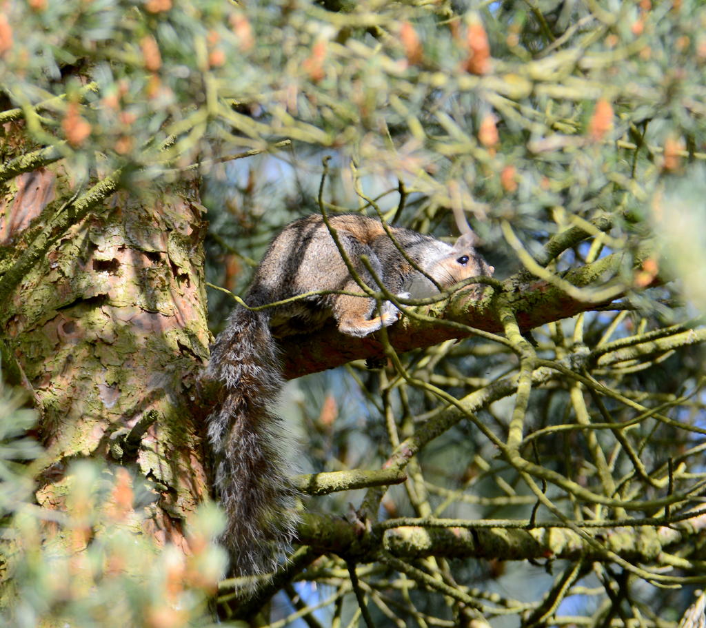 DSC_0016.jpg