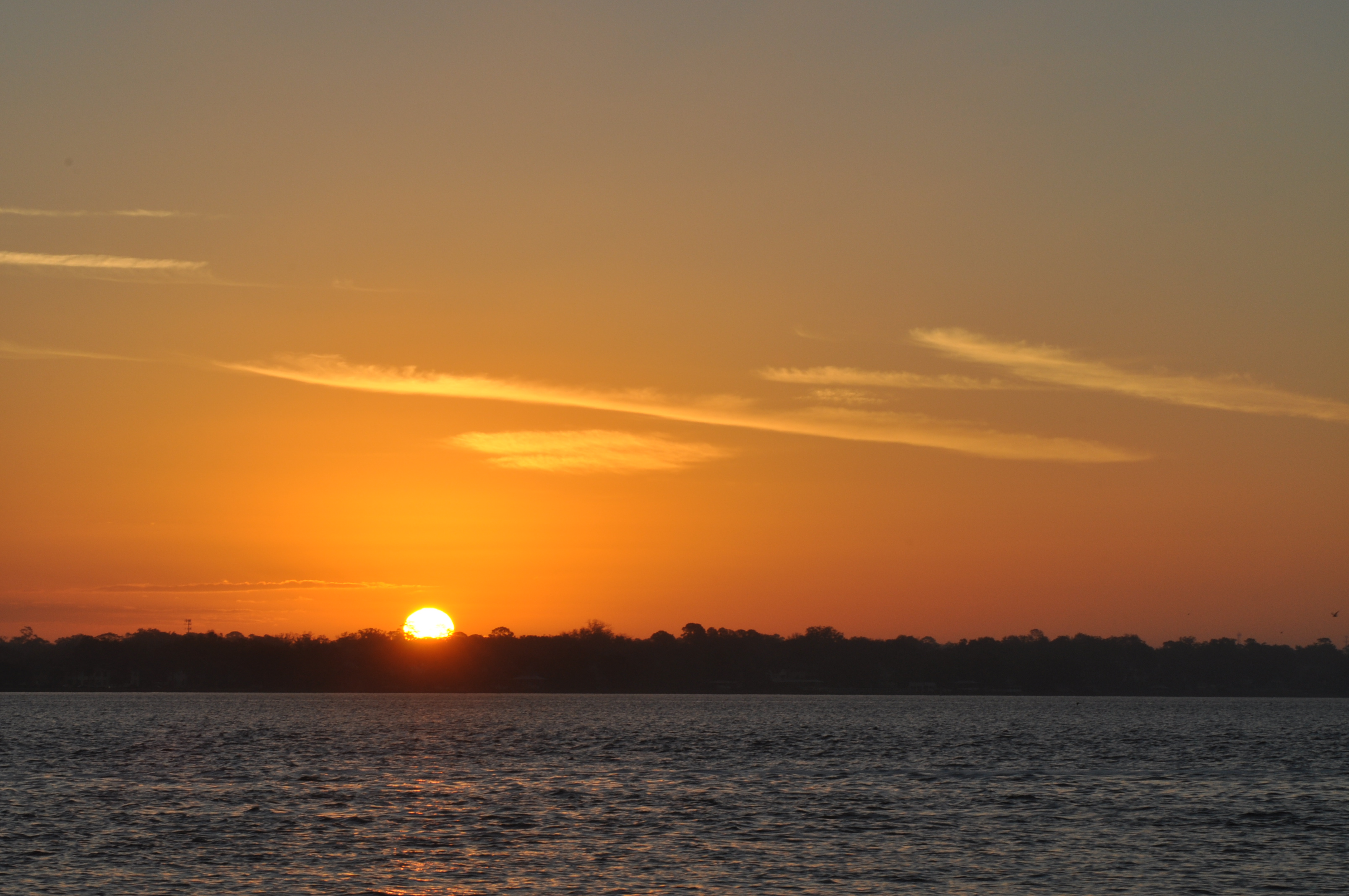DSC_0016.JPG
