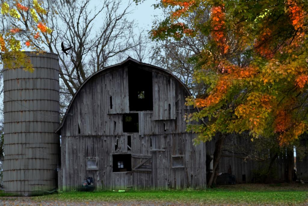 DSC_0017.jpg