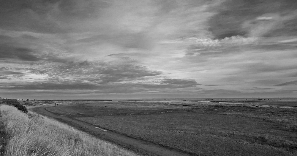 DSC_0018.jpg