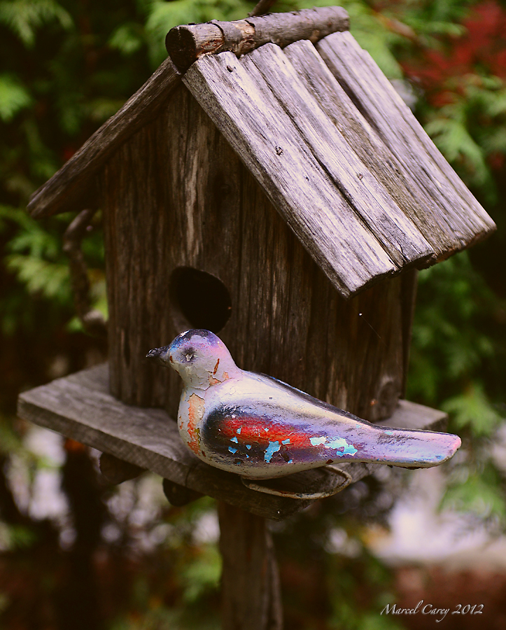 DSC_0018.jpg