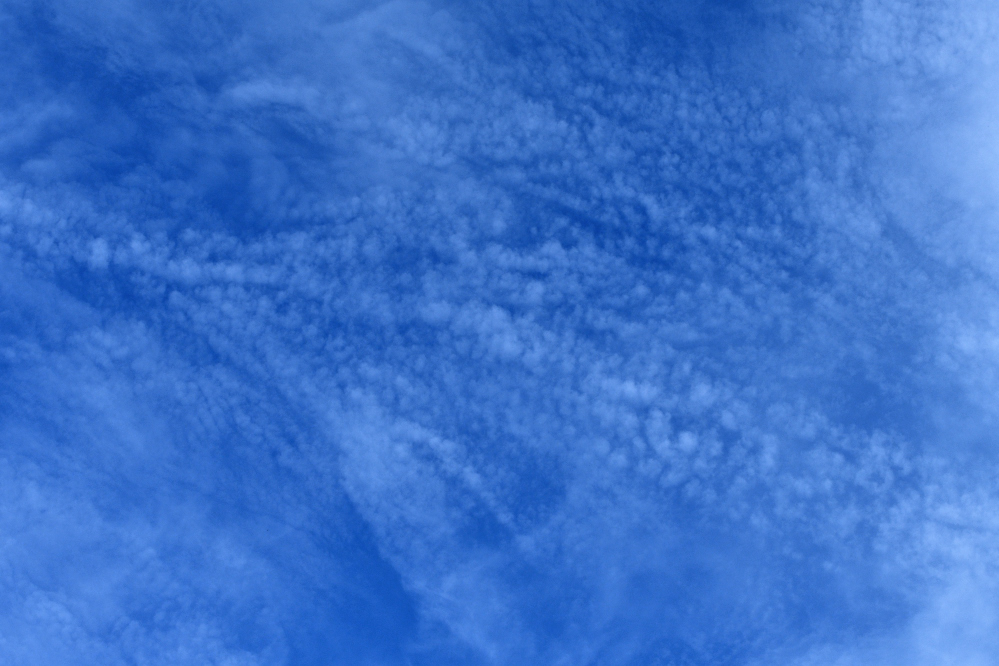 DSC_0019.JPG