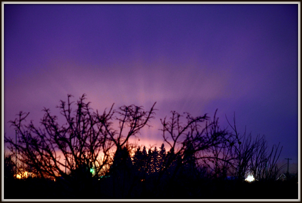 DSC_0019.JPG