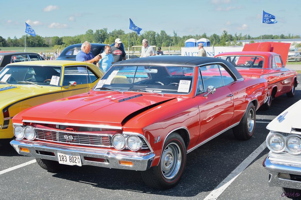 DSC_0020 nxd.jpg