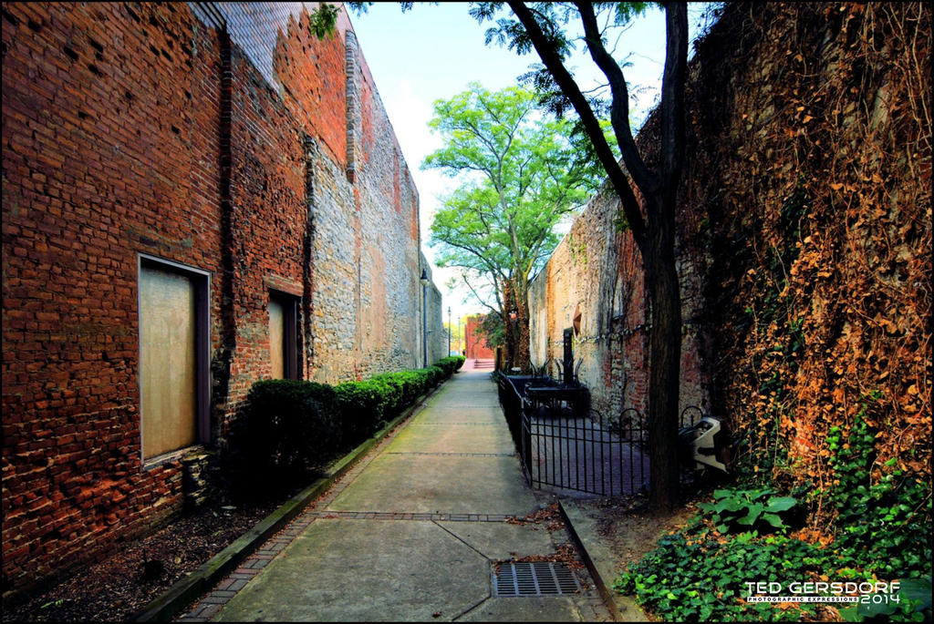 DSC_0020_00012_00007.jpg