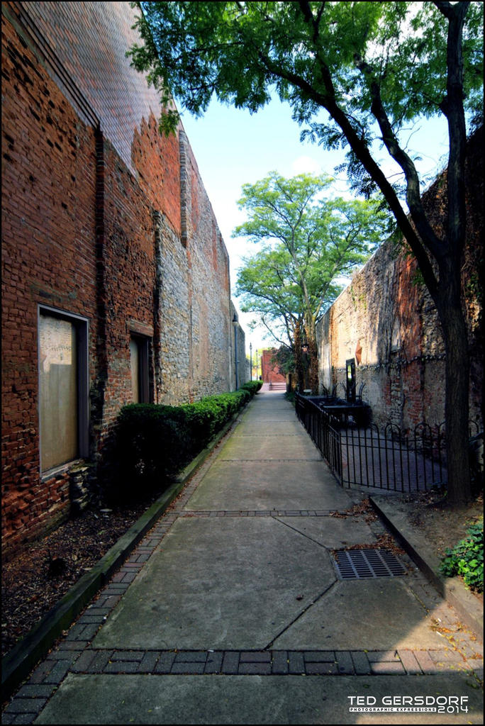 DSC_0021_00013_00008.jpg