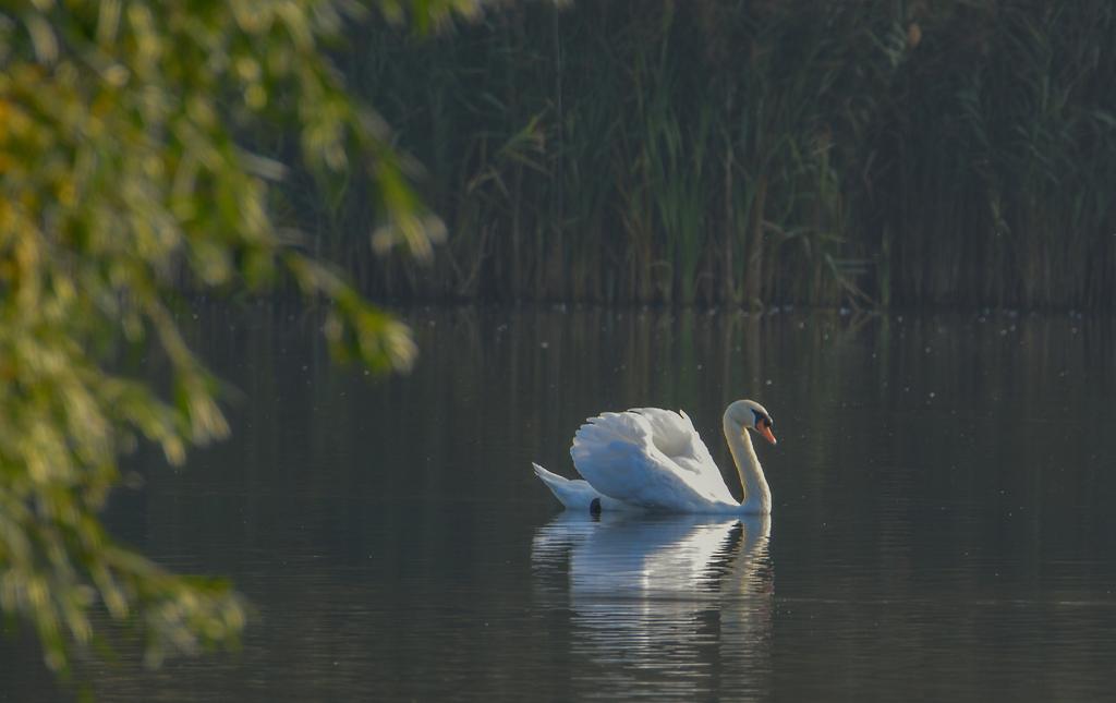 DSC_0022.jpg