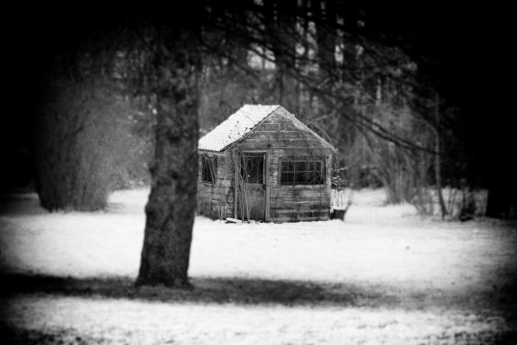 DSC_0022_02.jpg