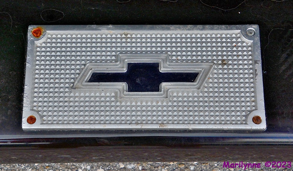 DSC_0023_001.JPG