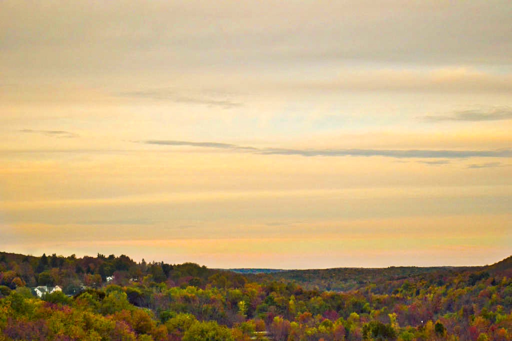 DSC_0025-Edit.jpeg