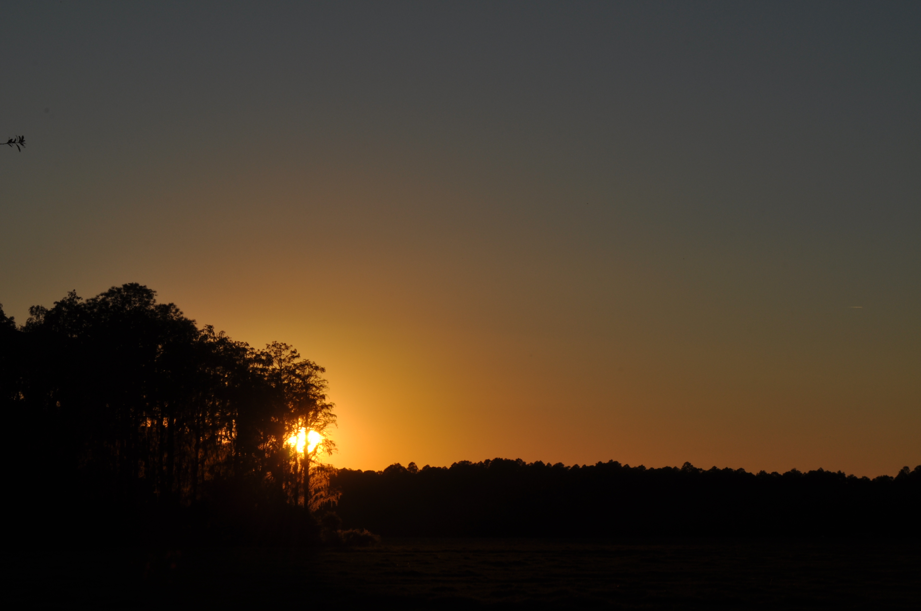 DSC_0025.JPG