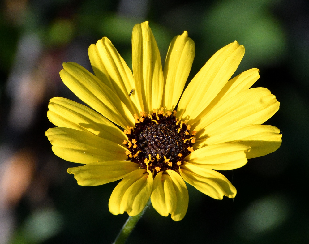 DSC_0025.JPG
