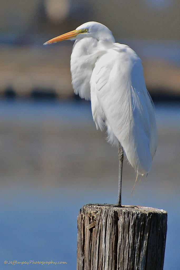 DSC_0025.jpg