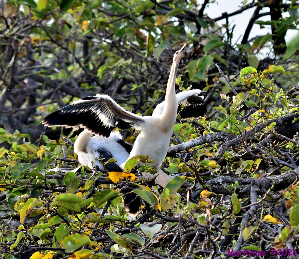 DSC_0025_001.JPG