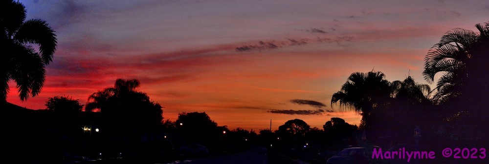 DSC_0026_stitch5_001.JPG