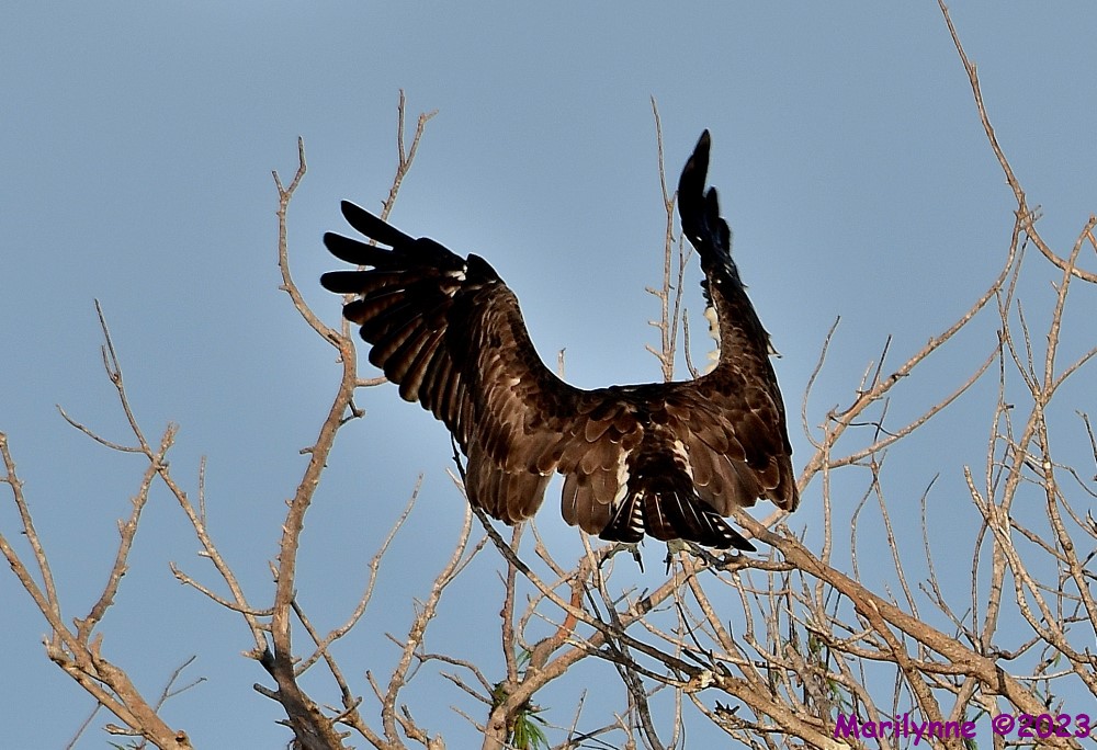 DSC_0027_001.JPG