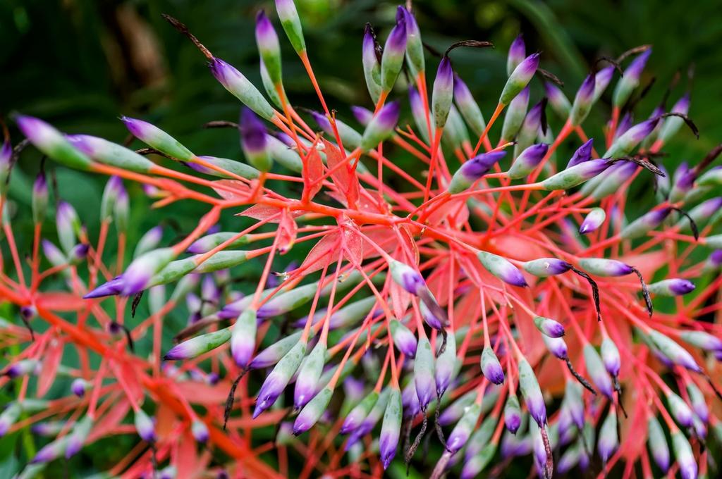 DSC_0030_DxO.jpg