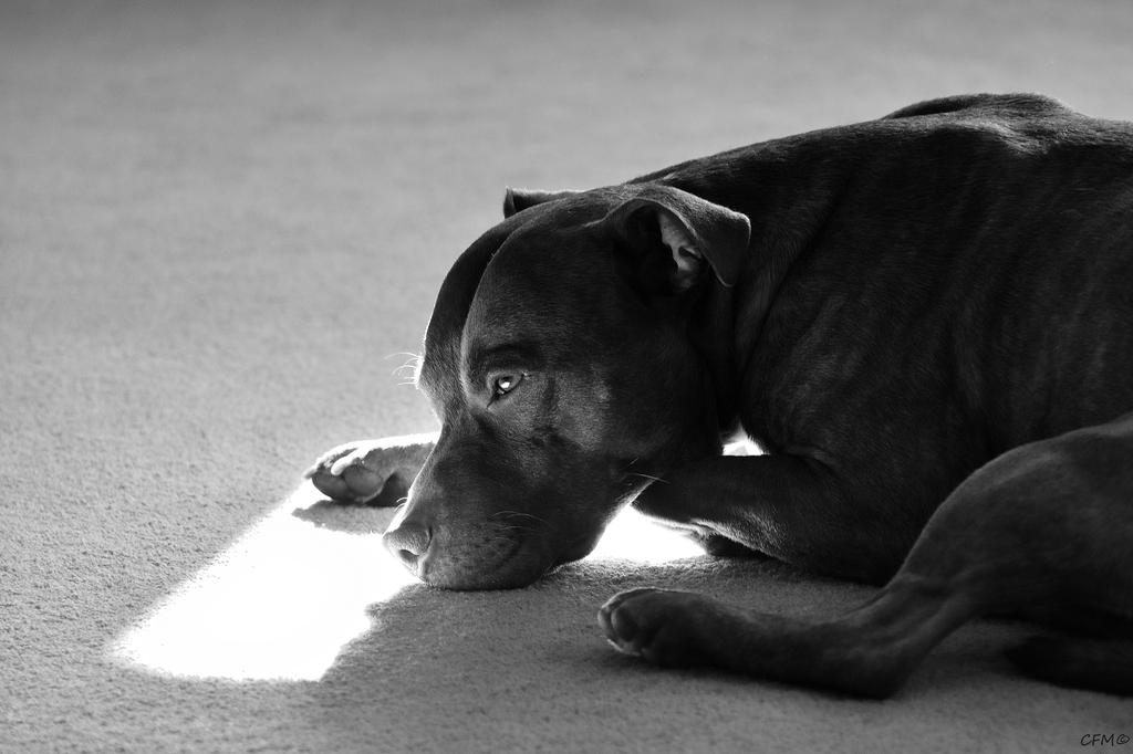 DSC_0031.jpg