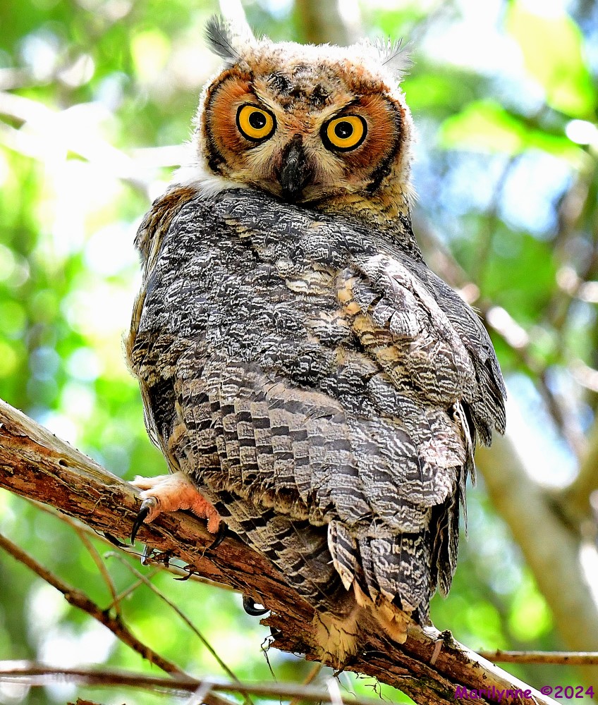 DSC_0031_001.JPG