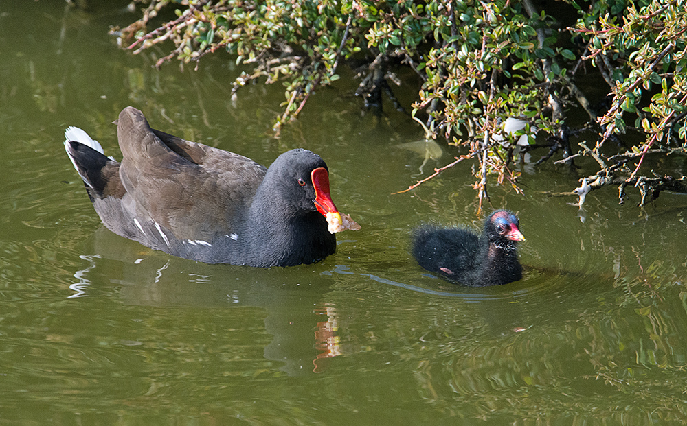 DSC_0032.jpg