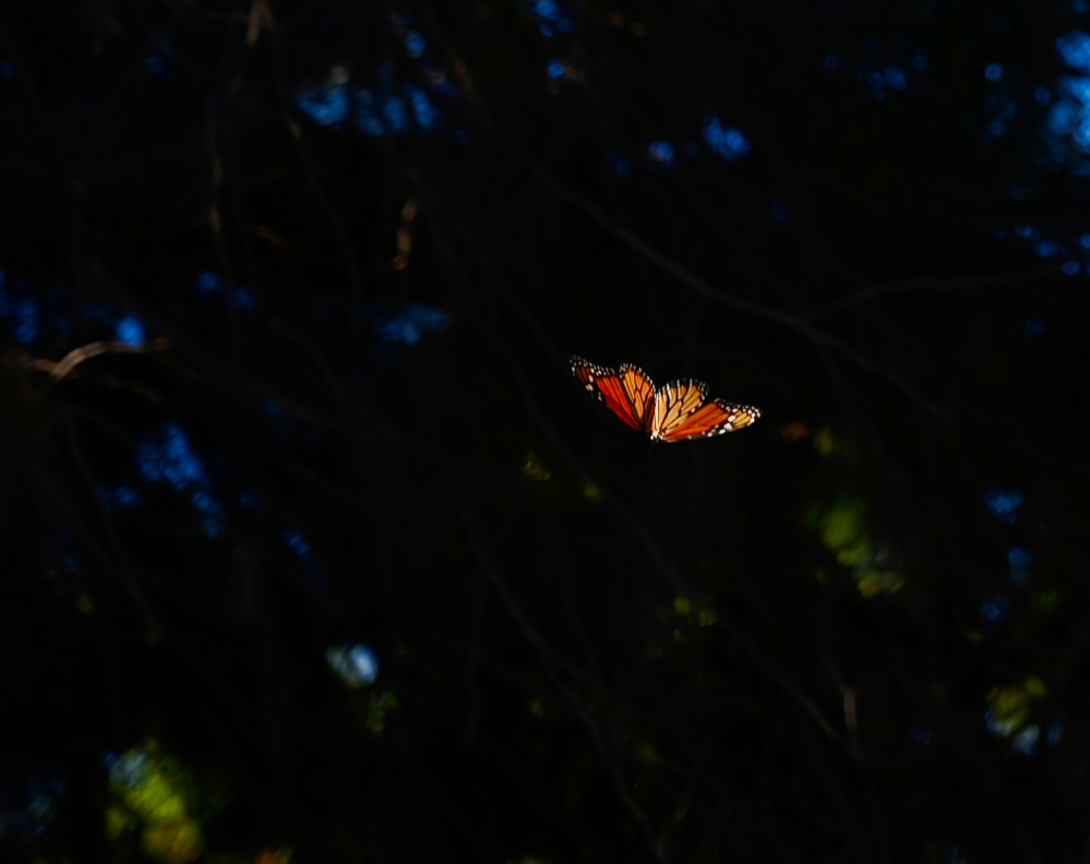 DSC_0032.jpg
