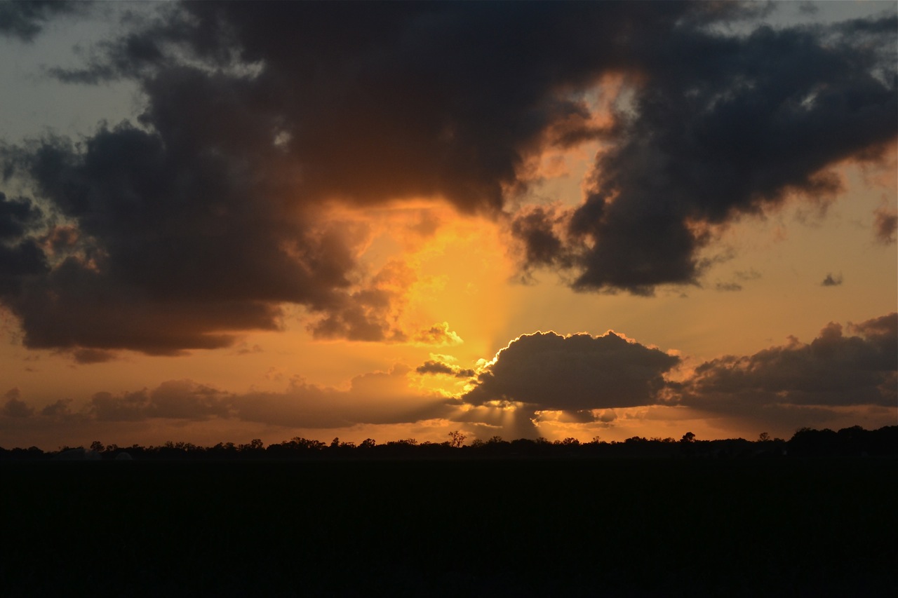 DSC_0034.jpg