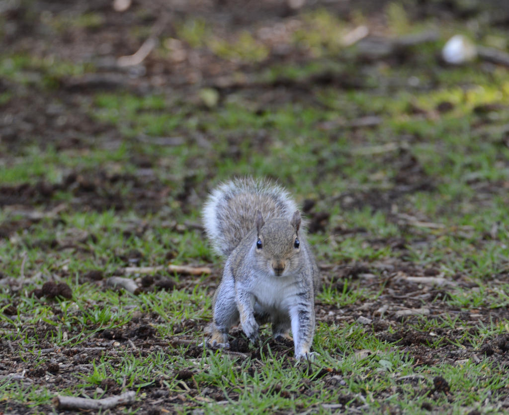 DSC_0035.jpg