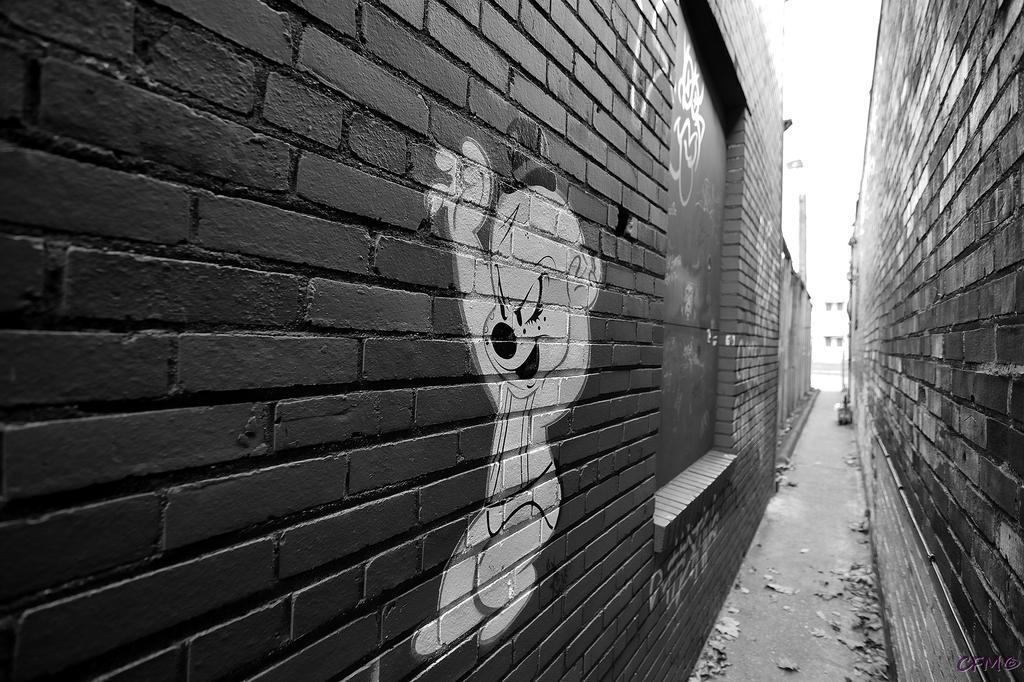 DSC_0035 nxd.jpg