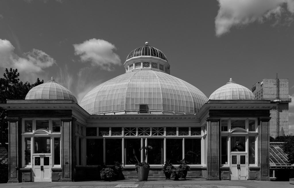 DSC_0035_DxO.jpg