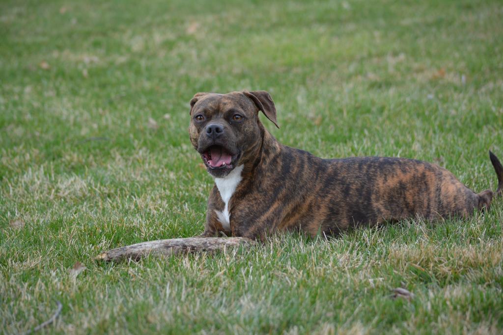 DSC_0036.jpg