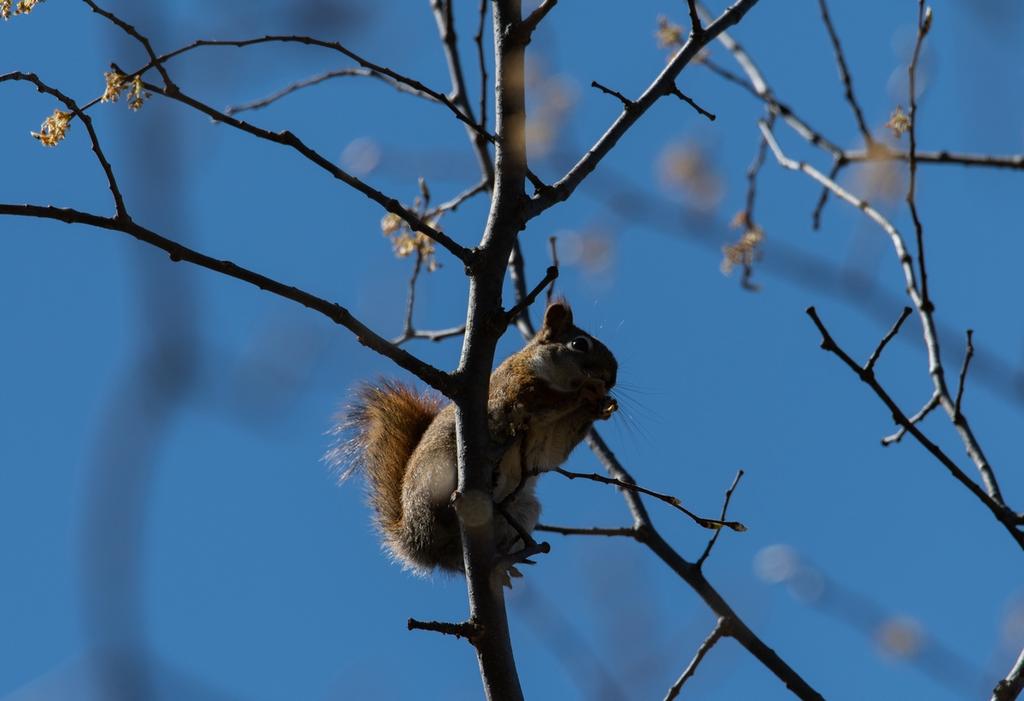 DSC_0036.jpg