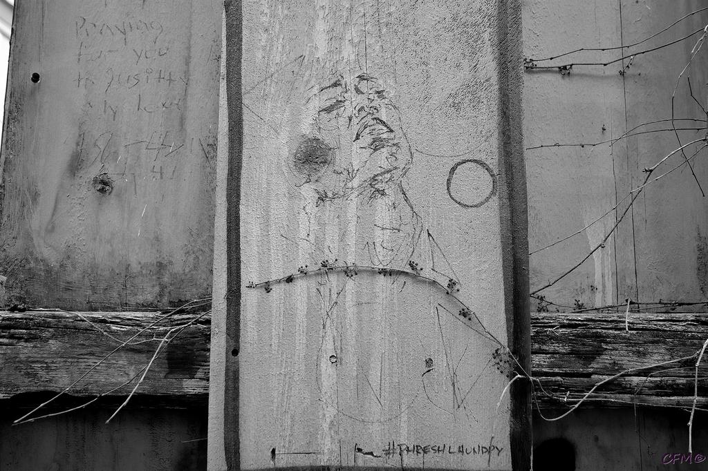 DSC_0036 nxd.jpg