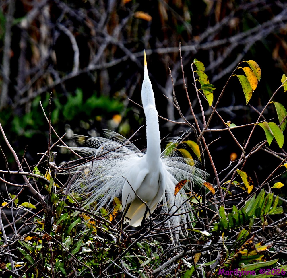 DSC_0037_stitch3_001.JPG
