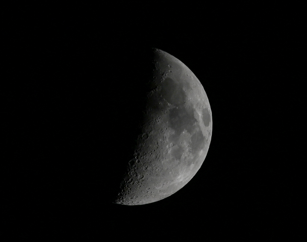DSC_0040.jpg