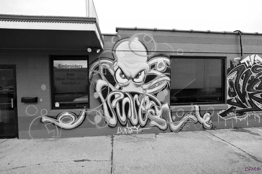 DSC_0040 nxd.jpg