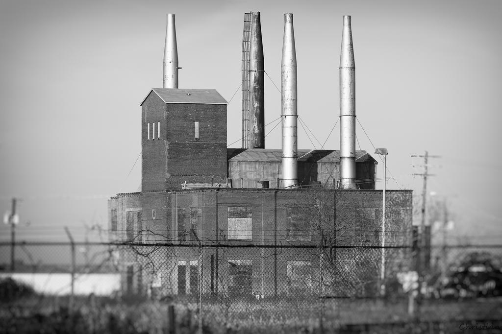 DSC_0040_.jpg