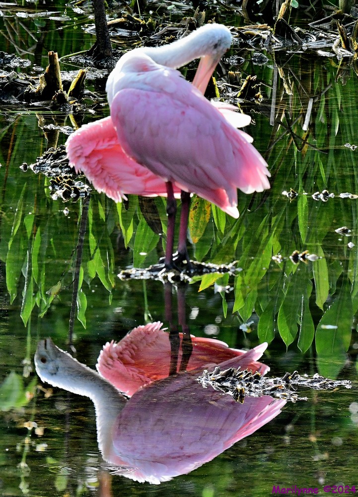 DSC_0042_stitch4_001.JPG