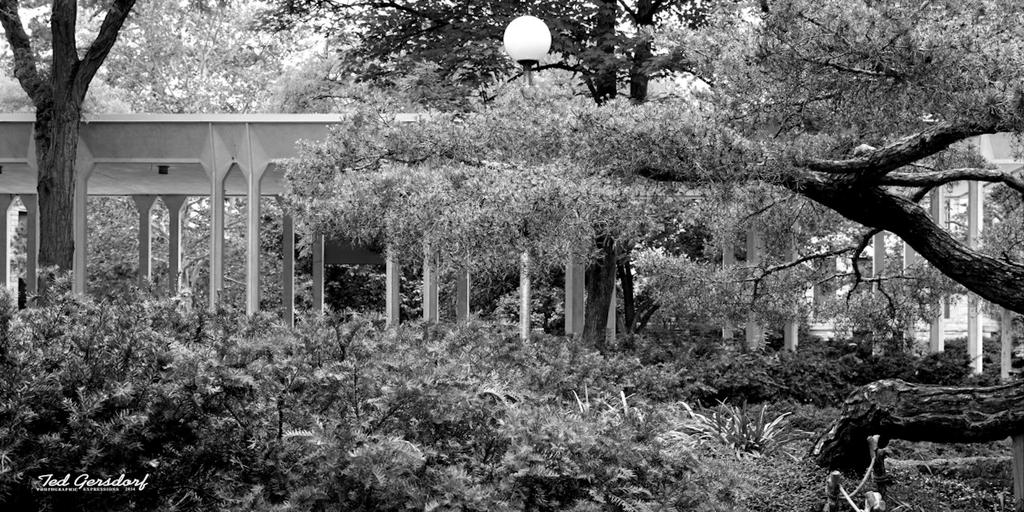 DSC_0045bw_1074.jpg